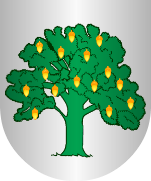 ESCUDO SIGUIENTE